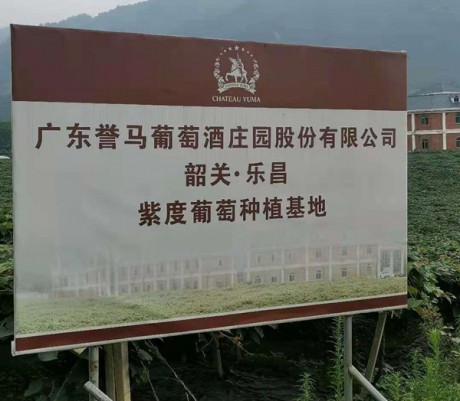 廣東韶關葡萄酒莊園選用螺桿式蒸發(fā)冷機組